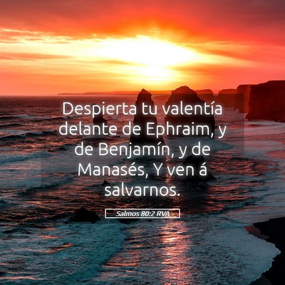 Picture 05 - Salmos 80:2 RVA - Despierta tu valentía delante de Ephraim, y de - Bible Verse Picture