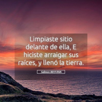 Picture 05 - Salmos 80:9 RVA - Limpiaste sitio delante de ella, E hiciste - Bible Verse Picture