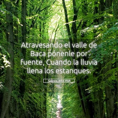 Picture 05 - Salmos 84:6 RVA - Atravesando el valle de Baca pónenle por fuente, - Bible Verse Picture