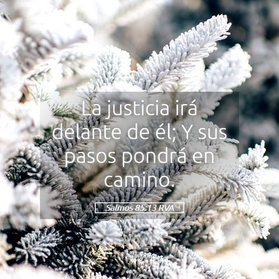 Picture 05 - Salmos 85:13 RVA - La justicia irá delante de él; Y sus pasos - Bible Verse Picture