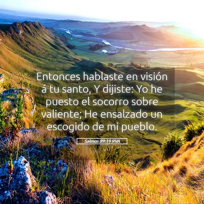 Picture 05 - Salmos 89:19 RVA - Entonces hablaste en visión á tu santo, Y - Bible Verse Picture