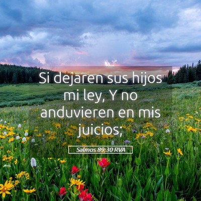 Picture 05 - Salmos 89:30 RVA - Si dejaren sus hijos mi ley, Y no anduvieren en - Bible Verse Picture
