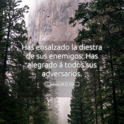Picture 05 - Salmos 89:42 RVA - Has ensalzado la diestra de sus enemigos; Has - Bible Verse Picture