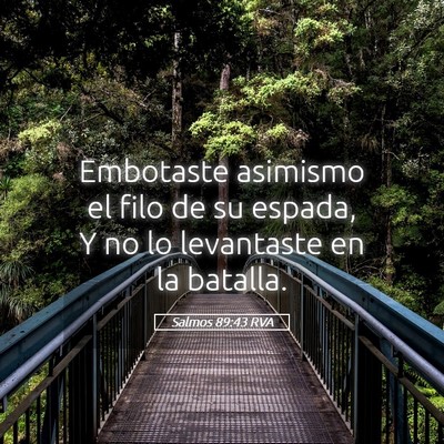 Picture 05 - Salmos 89:43 RVA - Embotaste asimismo el filo de su espada, Y no lo - Bible Verse Picture