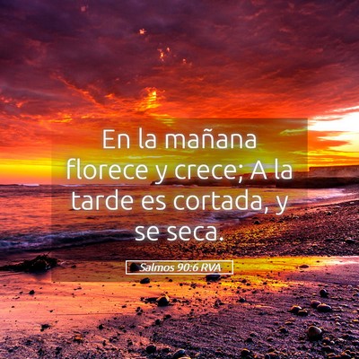 Picture 05 - Salmos 90:6 RVA - En la mañana florece y crece; A la tarde es - Bible Verse Picture