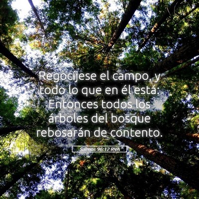 Picture 05 - Salmos 96:12 RVA - Regocíjese el campo, y todo lo que en él está: - Bible Verse Picture