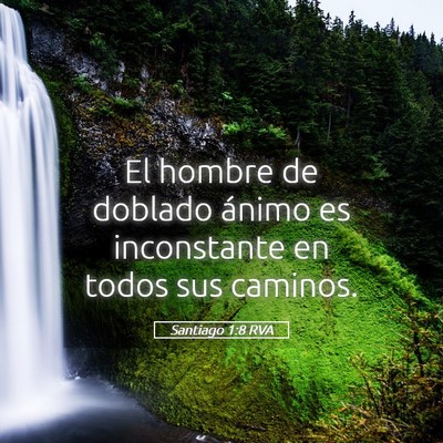 Picture 05 - Santiago 1:8 RVA - El hombre de doblado ánimo es inconstante en - Bible Verse Picture