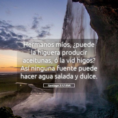 Picture 05 - Santiago 3:12 RVA - Hermanos míos, ¿puede la higuera producir - Bible Verse Picture