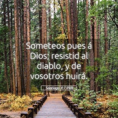 Picture 05 - Santiago 4:7 RVA - Someteos pues á Dios; resistid al diablo, y de - Bible Verse Picture