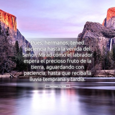 Picture 05 - Santiago 5:7 RVA - Pues, hermanos, tened paciencia hasta la venida - Bible Verse Picture