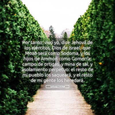 Picture 05 - Sofonías 2:9 RVA - Por tanto, vivo yo, dice Jehová de los - Bible Verse Picture