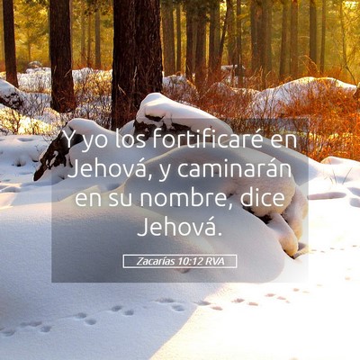 Picture 05 - Zacarías 10:12 RVA - Y yo los fortificaré en Jehová, y caminarán en - Bible Verse Picture