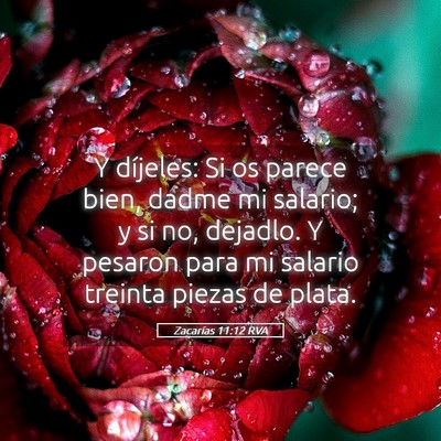 Picture 05 - Zacarías 11:12 RVA - Y díjeles: Si os parece bien, dadme mi salario; - Bible Verse Picture