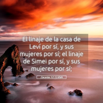 Picture 05 - Zacarías 12:13 RVA - El linaje de la casa de Leví por sí, y sus - Bible Verse Picture