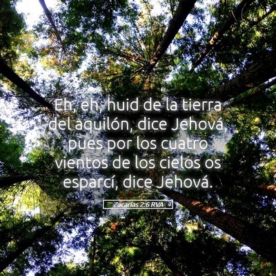 Picture 05 - Zacarías 2:6 RVA - Eh, eh, huid de la tierra del aquilón, dice - Bible Verse Picture