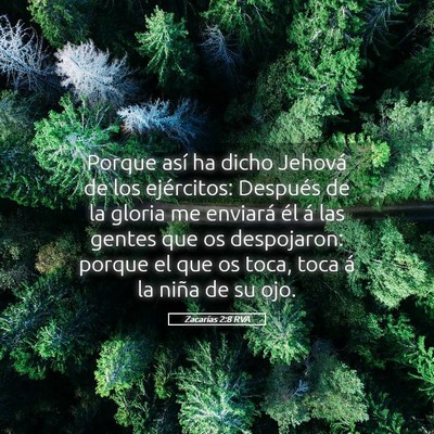 Picture 05 - Zacarías 2:8 RVA - Porque así ha dicho Jehová de los ejércitos: - Bible Verse Picture