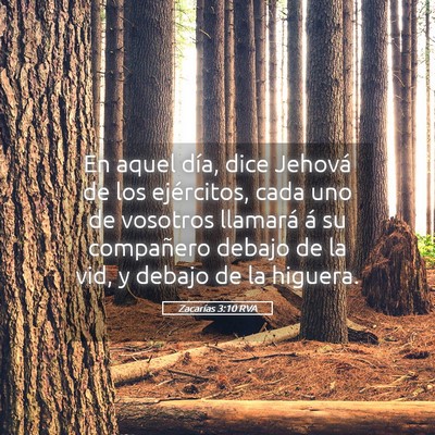 Picture 05 - Zacarías 3:10 RVA - En aquel día, dice Jehová de los ejércitos, - Bible Verse Picture