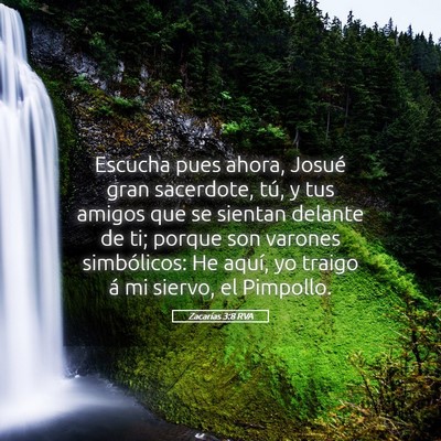 Picture 05 - Zacarías 3:8 RVA - Escucha pues ahora, Josué gran sacerdote, tú, y - Bible Verse Picture