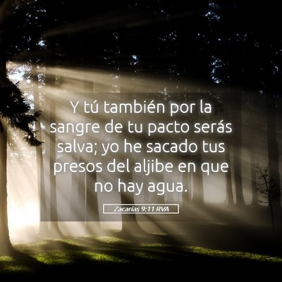 Picture 05 - Zacarías 9:11 RVA - Y tú también por la sangre de tu pacto serás - Bible Verse Picture