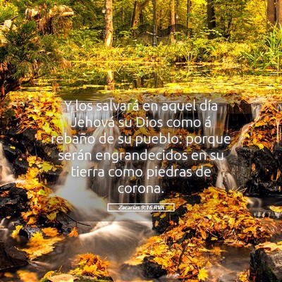 Picture 05 - Zacarías 9:16 RVA - Y los salvará en aquel día Jehová su Dios como - Bible Verse Picture