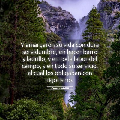 Picture 05 - Éxodo 1:14 RVA - Y amargaron su vida con dura servidumbre, en - Bible Verse Picture