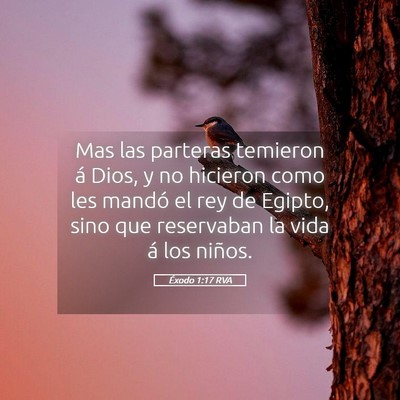 Picture 05 - Éxodo 1:17 RVA - Mas las parteras temieron á Dios, y no hicieron - Bible Verse Picture