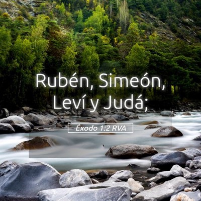 Picture 05 - Éxodo 1:2 RVA - Rubén, Simeón, Leví y - Bible Verse Picture