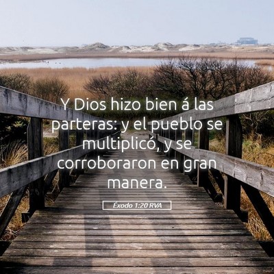 Picture 05 - Éxodo 1:20 RVA - Y Dios hizo bien á las parteras: y el pueblo se - Bible Verse Picture