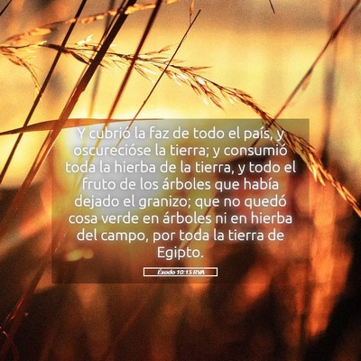 Picture 05 - Éxodo 10:15 RVA - Y cubrió la faz de todo el país, y oscurecióse - Bible Verse Picture