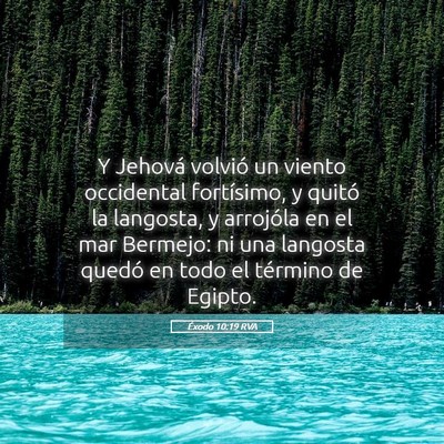 Picture 05 - Éxodo 10:19 RVA - Y Jehová volvió un viento occidental - Bible Verse Picture