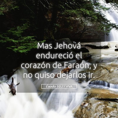 Picture 05 - Éxodo 10:27 RVA - Mas Jehová endureció el corazón de Faraón, y - Bible Verse Picture