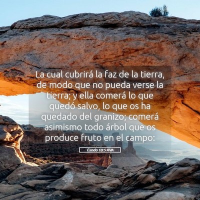 Picture 05 - Éxodo 10:5 RVA - La cual cubrirá la faz de la tierra, de modo que - Bible Verse Picture