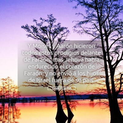 Picture 05 - Éxodo 11:10 RVA - Y Moisés y Aarón hicieron todos estos prodigios - Bible Verse Picture