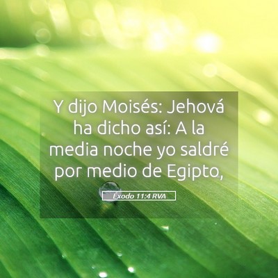 Picture 05 - Éxodo 11:4 RVA - Y dijo Moisés: Jehová ha dicho así: A la media - Bible Verse Picture