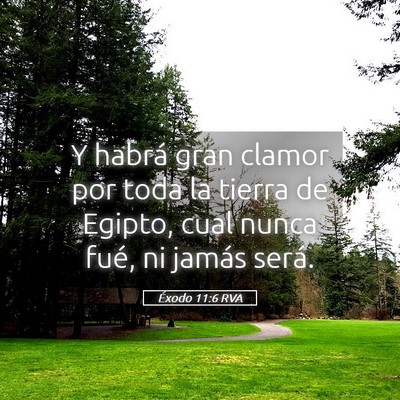 Picture 05 - Éxodo 11:6 RVA - Y habrá gran clamor por toda la tierra de - Bible Verse Picture