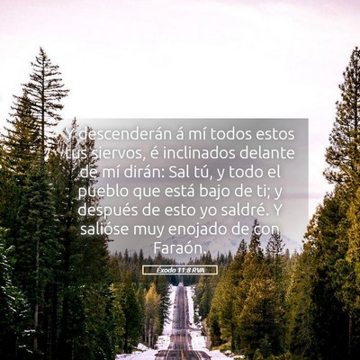 Picture 05 - Éxodo 11:8 RVA - Y descenderán á mí todos estos tus siervos, é - Bible Verse Picture