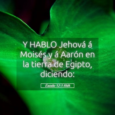 Picture 05 - Éxodo 12:1 RVA - Y HABLO Jehová á Moisés y á Aarón en la - Bible Verse Picture