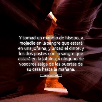 Picture 05 - Éxodo 12:22 RVA - Y tomad un manojo de hisopo, y mojadle en la - Bible Verse Picture