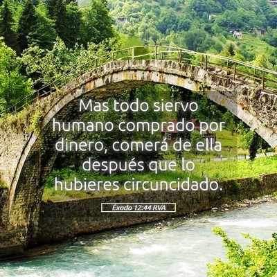 Picture 05 - Éxodo 12:44 RVA - Mas todo siervo humano comprado por dinero, - Bible Verse Picture