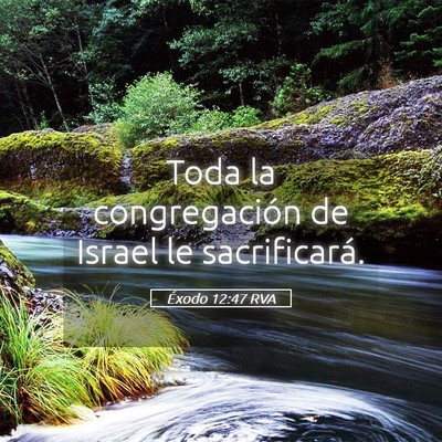 Picture 05 - Éxodo 12:47 RVA - Toda la congregación de Israel le - Bible Verse Picture
