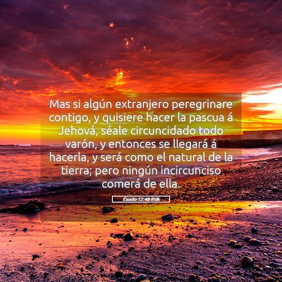 Picture 05 - Éxodo 12:48 RVA - Mas si algún extranjero peregrinare contigo, y - Bible Verse Picture