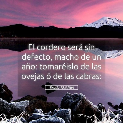Picture 05 - Éxodo 12:5 RVA - El cordero será sin defecto, macho de un año: - Bible Verse Picture