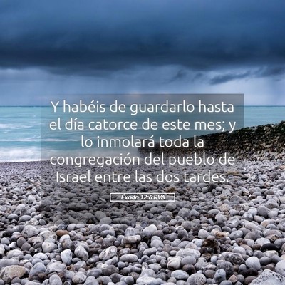 Picture 05 - Éxodo 12:6 RVA - Y habéis de guardarlo hasta el día catorce de - Bible Verse Picture