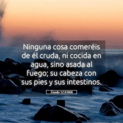 Picture 05 - Éxodo 12:9 RVA - Ninguna cosa comeréis de él cruda, ni cocida en - Bible Verse Picture
