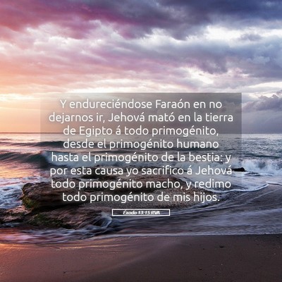 Picture 05 - Éxodo 13:15 RVA - Y endureciéndose Faraón en no dejarnos ir, - Bible Verse Picture