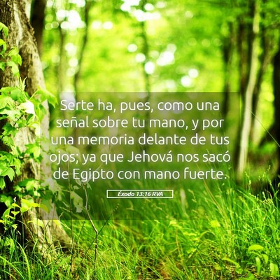 Picture 05 - Éxodo 13:16 RVA - Serte ha, pues, como una señal sobre tu mano, y - Bible Verse Picture