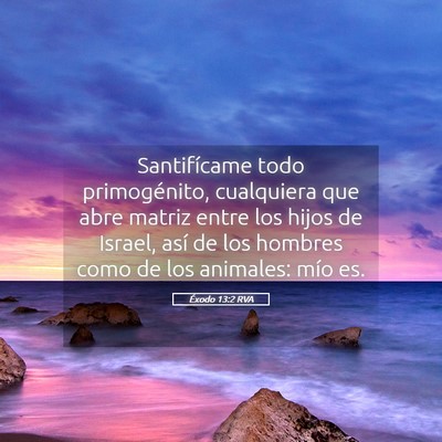 Picture 05 - Éxodo 13:2 RVA - Santifícame todo primogénito, cualquiera que - Bible Verse Picture