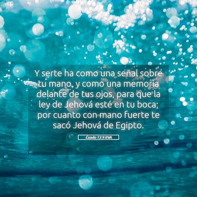 Picture 05 - Éxodo 13:9 RVA - Y serte ha como una señal sobre tu mano, y como - Bible Verse Picture