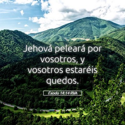 Picture 05 - Éxodo 14:14 RVA - Jehová peleará por vosotros, y vosotros - Bible Verse Picture
