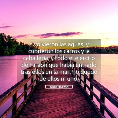 Picture 05 - Éxodo 14:28 RVA - Y volvieron las aguas, y cubrieron los carros y - Bible Verse Picture